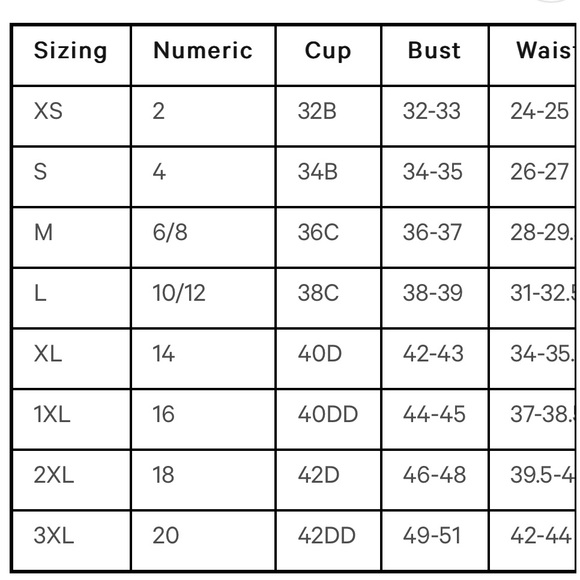 Unique Vintage high waisted bikini bottoms green gingham with ladybugs NWT - Picture 3 of 7